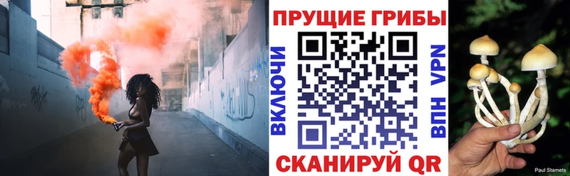 где купить наркоту Пересвет Галлюциногенные грибы мицелий